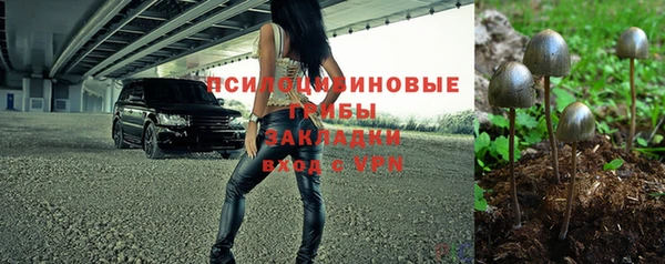 сатива Алексеевка