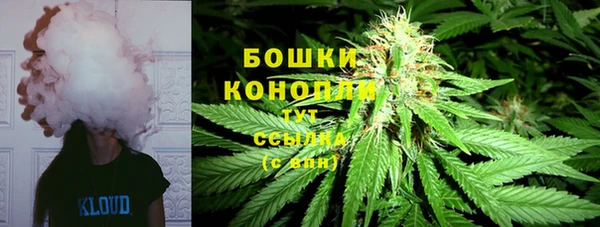 сатива Алексеевка