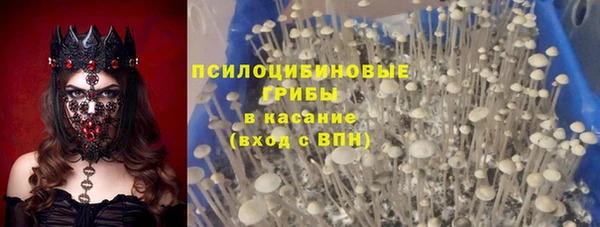сатива Алексеевка